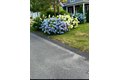 Additional image 42 of 42 Poets Cor, Plymouth, MA, 02360