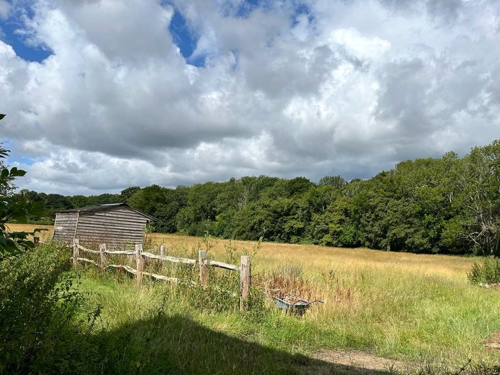 Additional image 8 of Land for saleWillingford Farm, South Lane, Dallington, Heathfield TN21