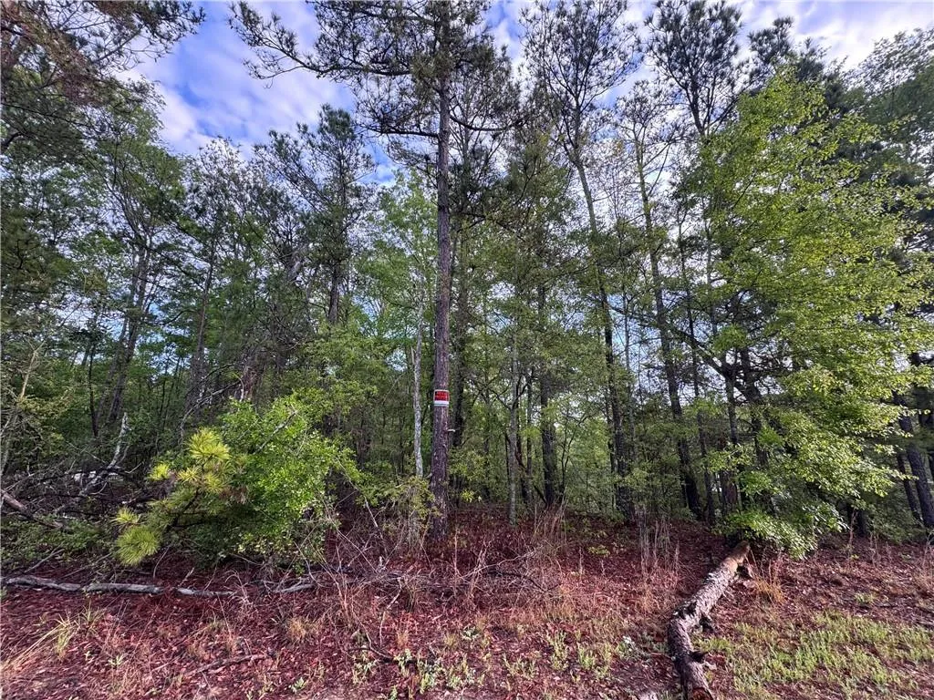 Additional image 4 of 18 Miller Drive, Phenix City, AL 36867