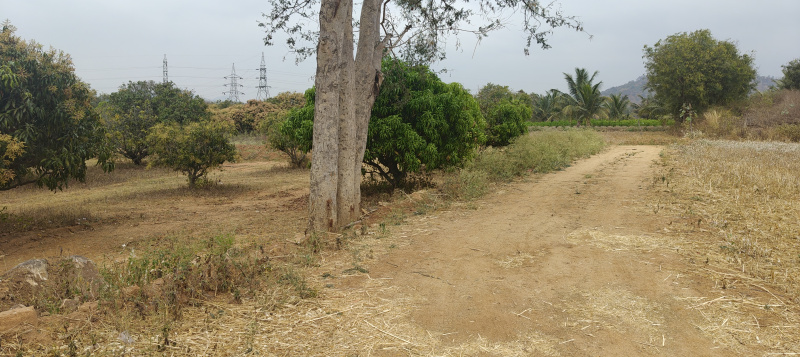 Additional image 2 of Sathanur, Ramanagara, Bangalore