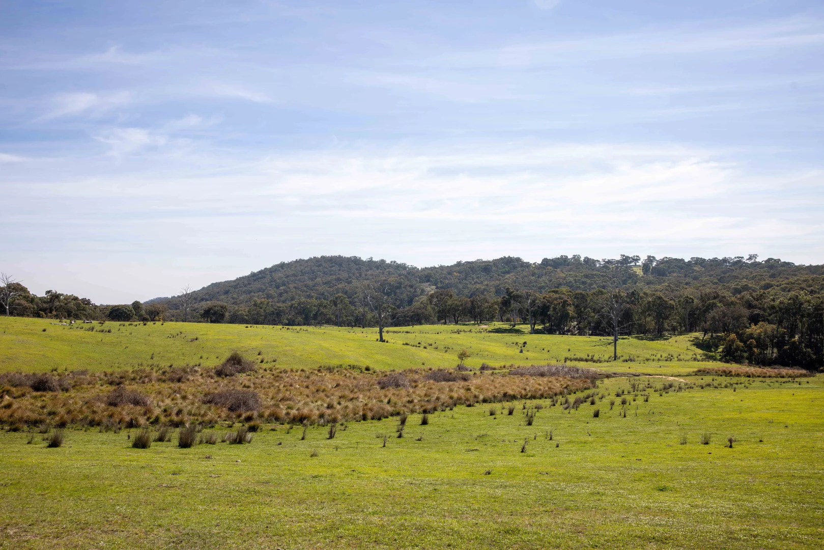 Additional image 4 of 528 Gundowda Road, Mudgee NSW 2850