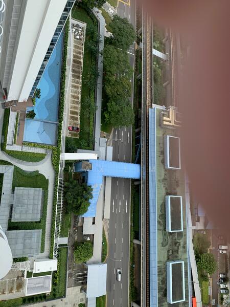 1 Dundee Road photo 3