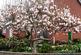 Additional image 15 of Hallgarth Road, Pontefract WF8