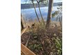 Additional image 36 of 661 SE Somers Dr, Shelton, WA, 98584