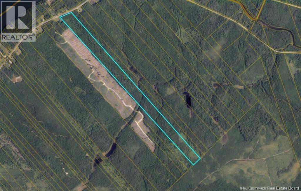 Woodlot Route 118