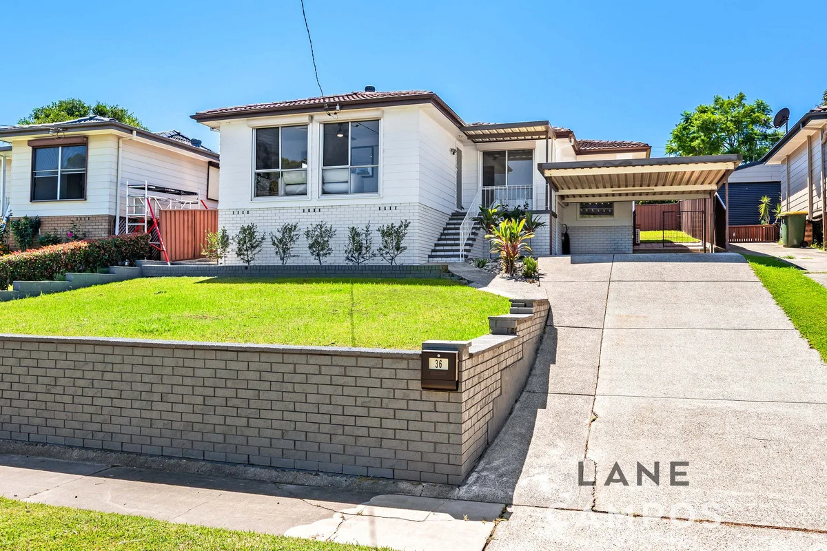 36 Alister Street, Shortland NSW 2307