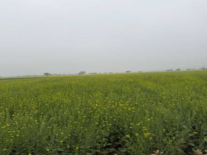 Additional image 3 of Naugaon, Alwar