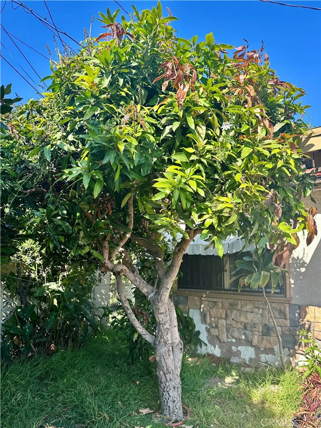 Additional image 36 of 13608 Yukon Avenue, Hawthorne, CA 90250
