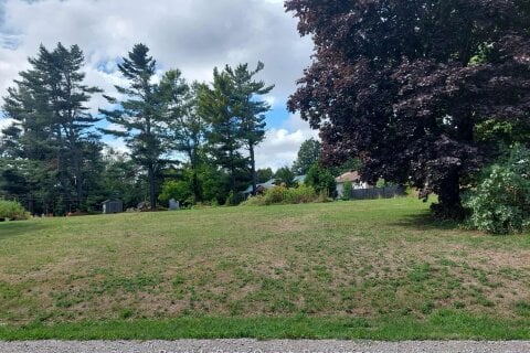 Additional image 4 of Lot 56-13 Mink Alley, Kawartha Lakes, ON, L3V 6H5