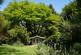 Additional image 21 of Sidmouth Road, Lyme Regis, Dorset