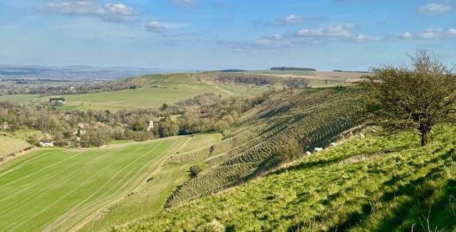 Additional image 21 of White Horse Valley, Bratton