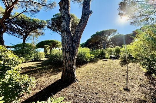 Additional image 2 of Sainte-Maxime (Var)