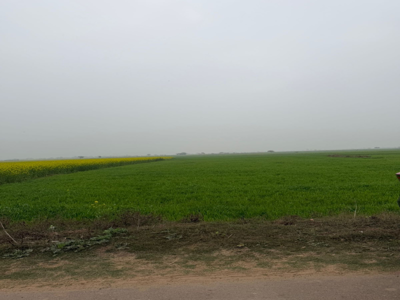 Additional image 2 of Naugaon, Alwar