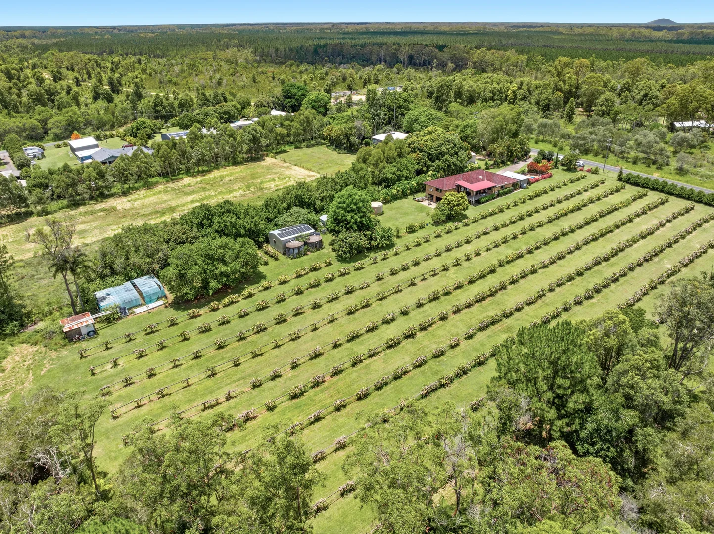 109 Fraser Road, Beerwah QLD 4519