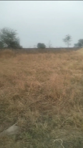 Additional image 2 of Boria Kalan, Raipur