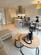 Additional image 3 of Plot 21, The Astbury at The Oaks, Keele, Newcastle-under-Lyme, Keele, Newcastle-under-Lyme ST5