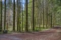 Additional image 37 of 121 Pacific Rd, Stevenson, WA, 98648