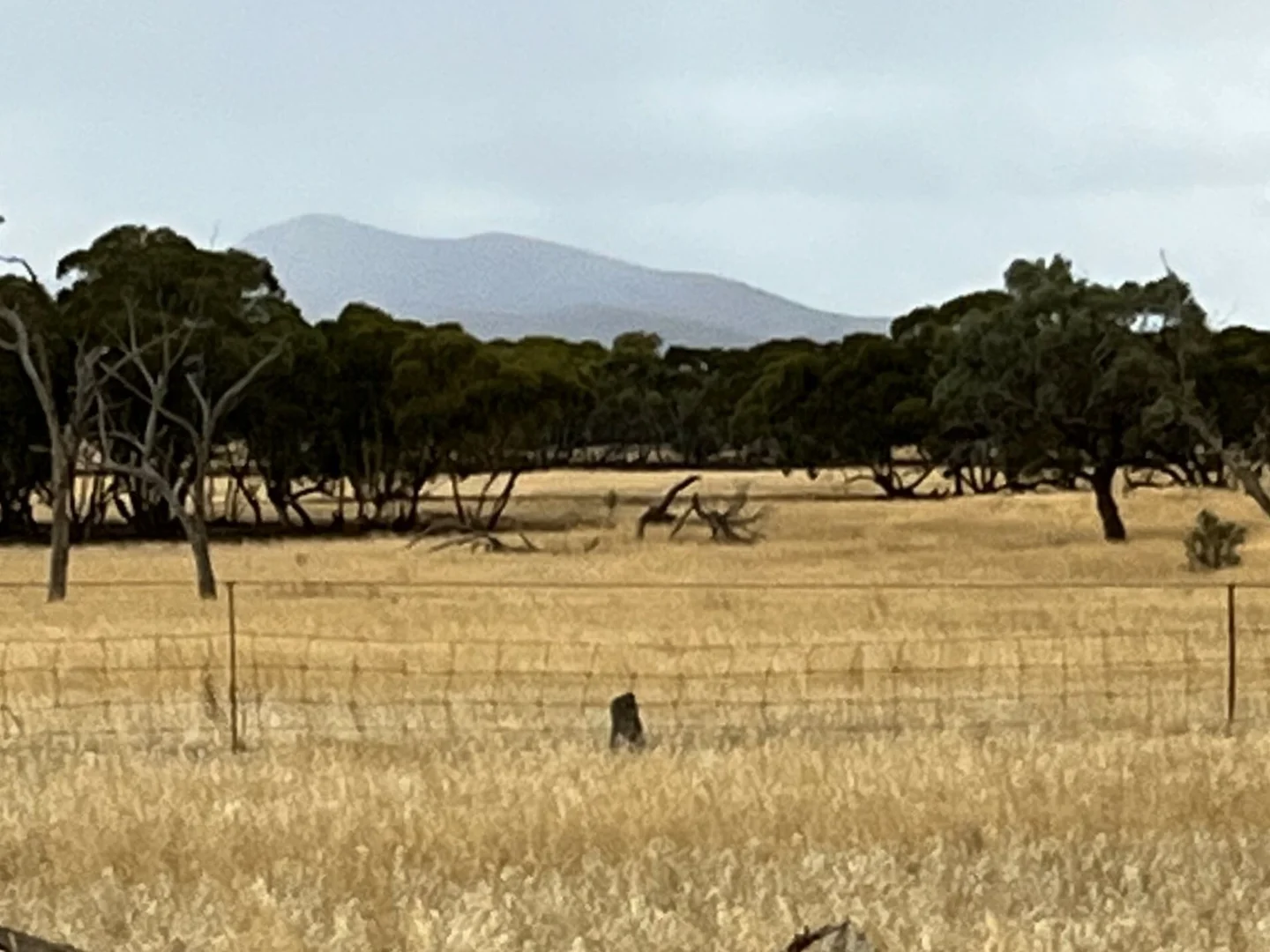 Additional image 10 of 'Cavenagh' Orroroo-Paratoo Road, Cavenagh SA 5422