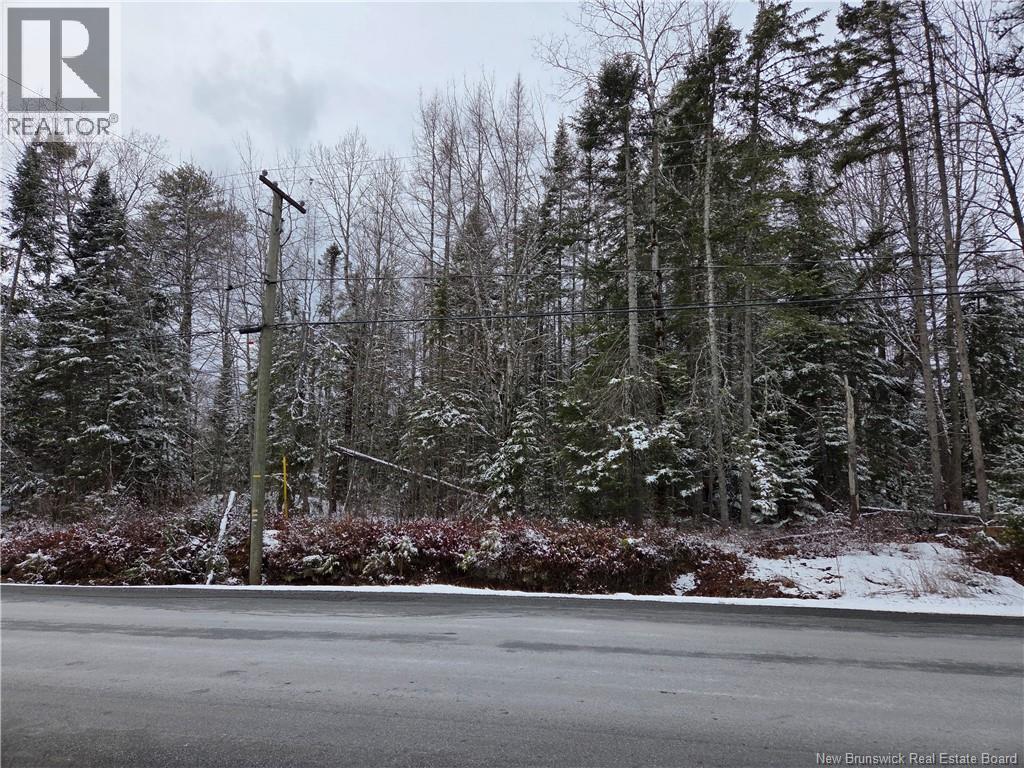 303 Lower Mountain Road