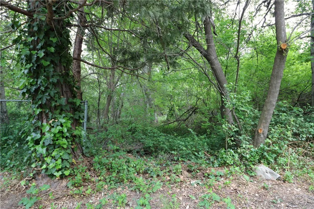 Additional image 40 of 13992 Irving Lane, Lytle Creek, CA 92358