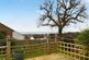 Additional image 4 of Barnfield Close, Hastings