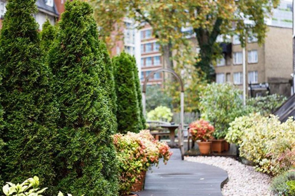 Additional image 9 of Studio to rentCartwright Gardens, London WC1H