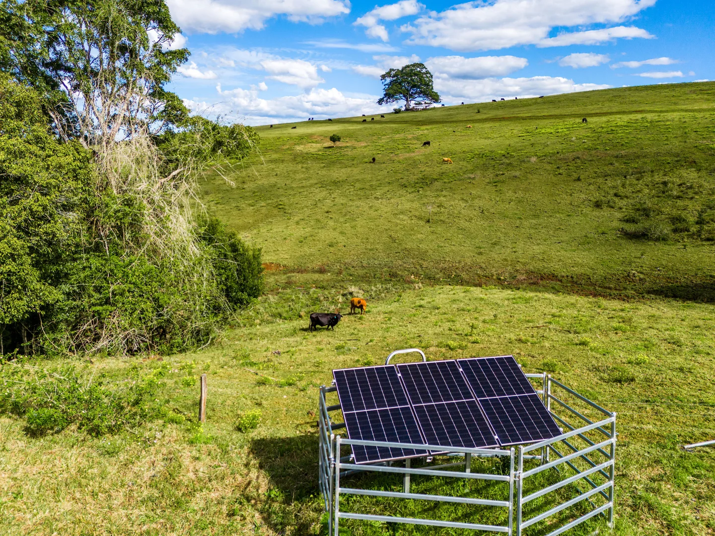 Additional image 11 of 369 Coolamon Scenic Drive, Coorabell NSW 2479