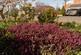 Additional image 18 of Hallgarth Road, Pontefract WF8