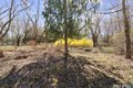 Additional image 37 of 835 Monroe Tpke, Monroe, CT, 06468
