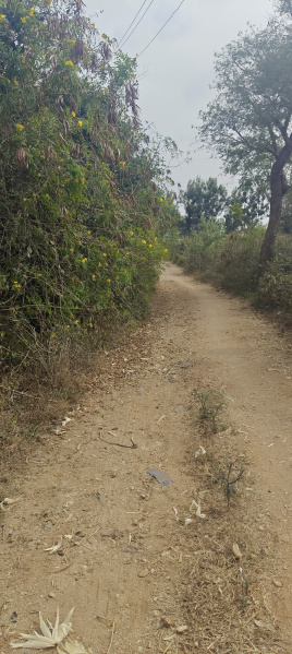 Krishnarajanagar, Mysore