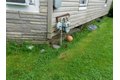 Additional image 5 of 55 West St, Walton, NY, 13856