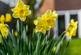 Additional image 21 of Church Close, Bassingbourn, Royston, Cambridgeshire