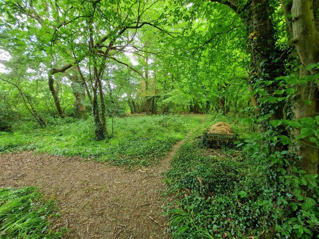 Additional image 10 of Land for saleChiddingly Road, Horam, Heathfield TN21