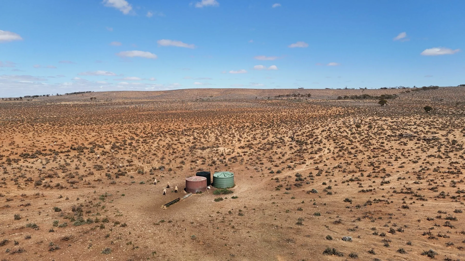 Additional image 5 of 'Cavenagh' Orroroo-Paratoo Road, Cavenagh SA 5422