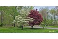 Additional image 32 of 45 Crestwood Dr, East Hampton, CT, 06424