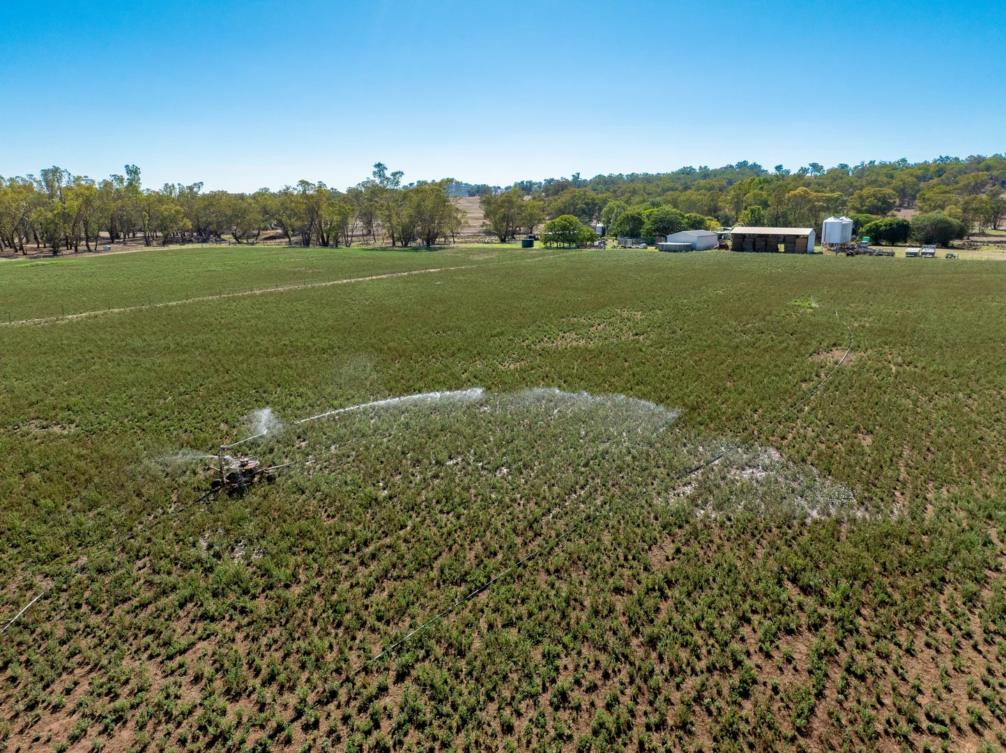 Additional image 19 of 7963 Mitchell Highway, Wellington NSW 2820