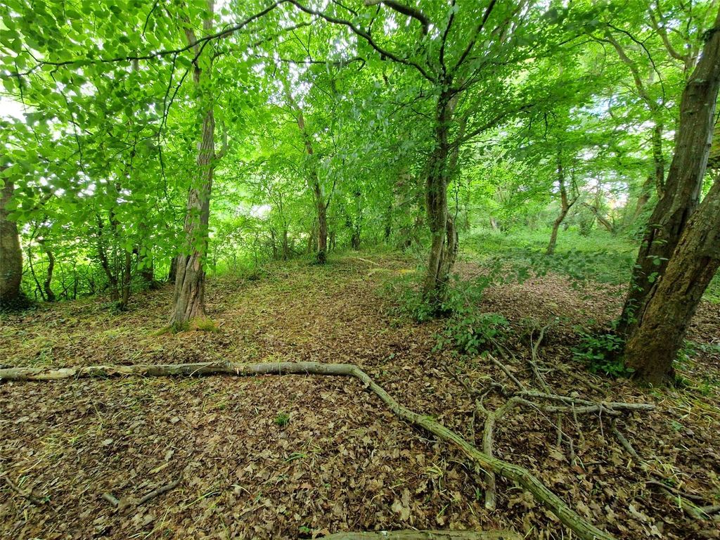 Additional image 11 of Land for saleChiddingly Road, Horam, Heathfield TN21
