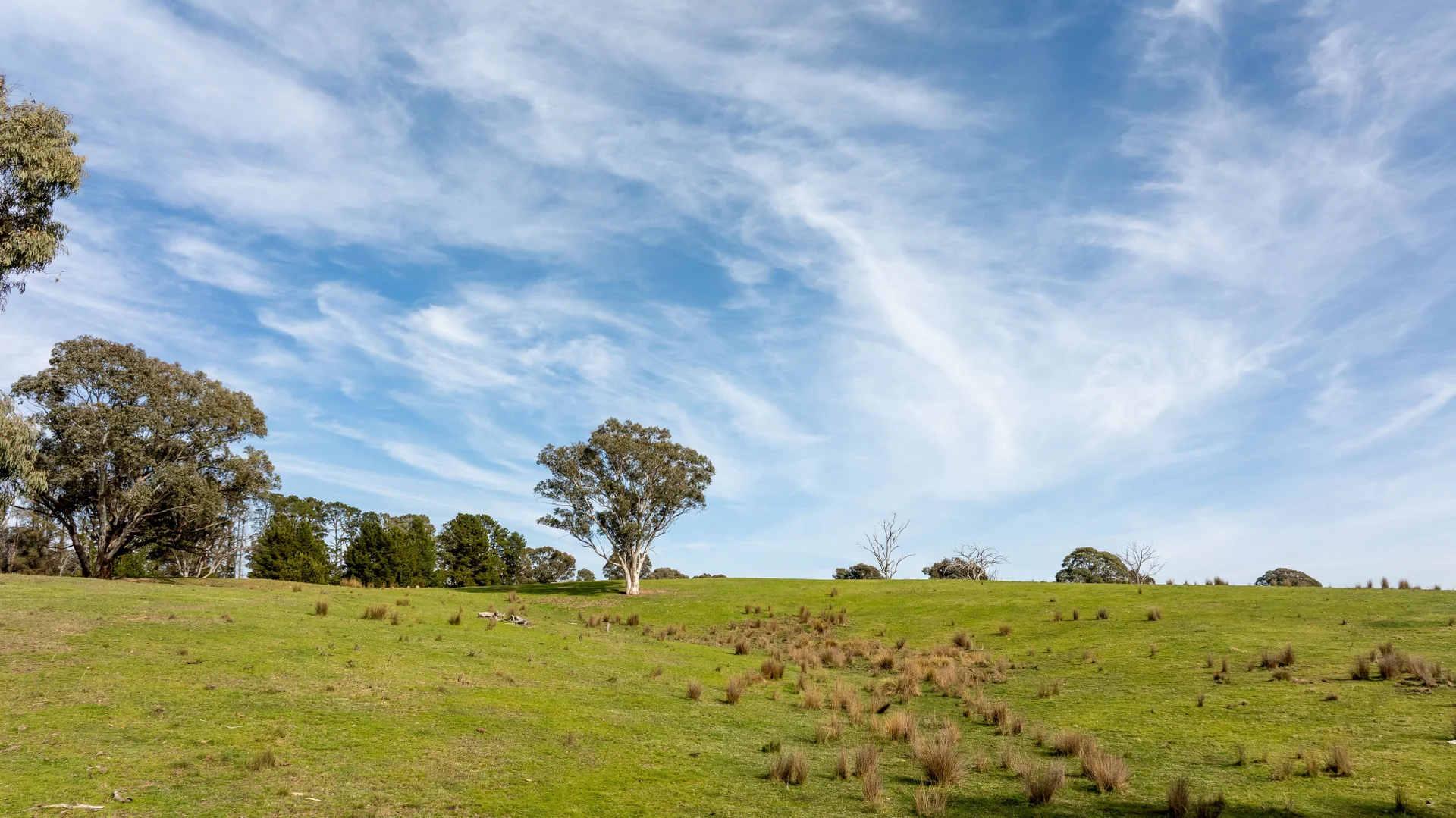 Additional image 2 of 528 Gundowda Road, Mudgee NSW 2850