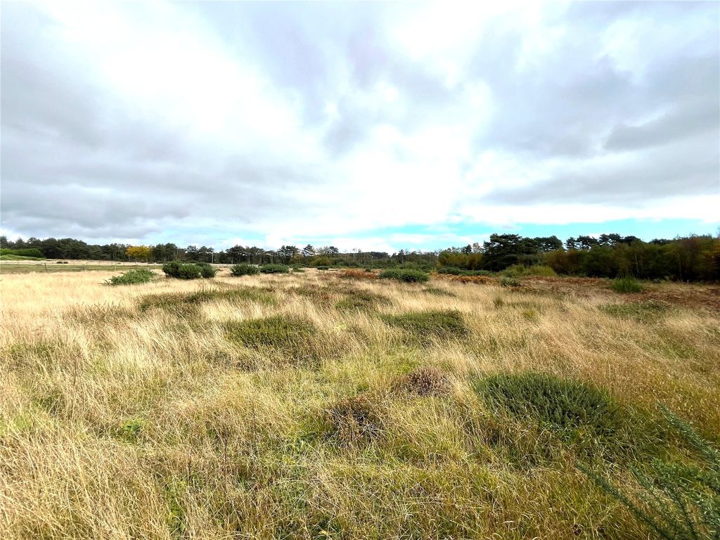 Additional image 4 of Land for saleFoxbury Road, St. Leonards, Ringwood, Dorset BH24