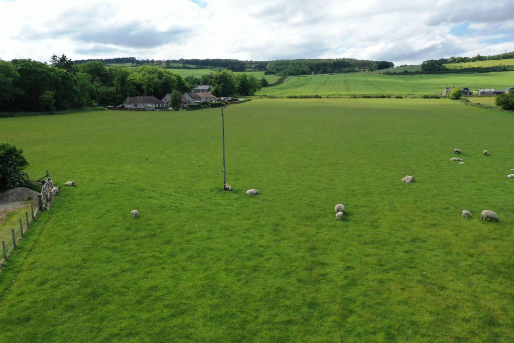 Additional image 4 of Land for saleBognie Place, Bognie, Huntly, Aberdeenshire AB54