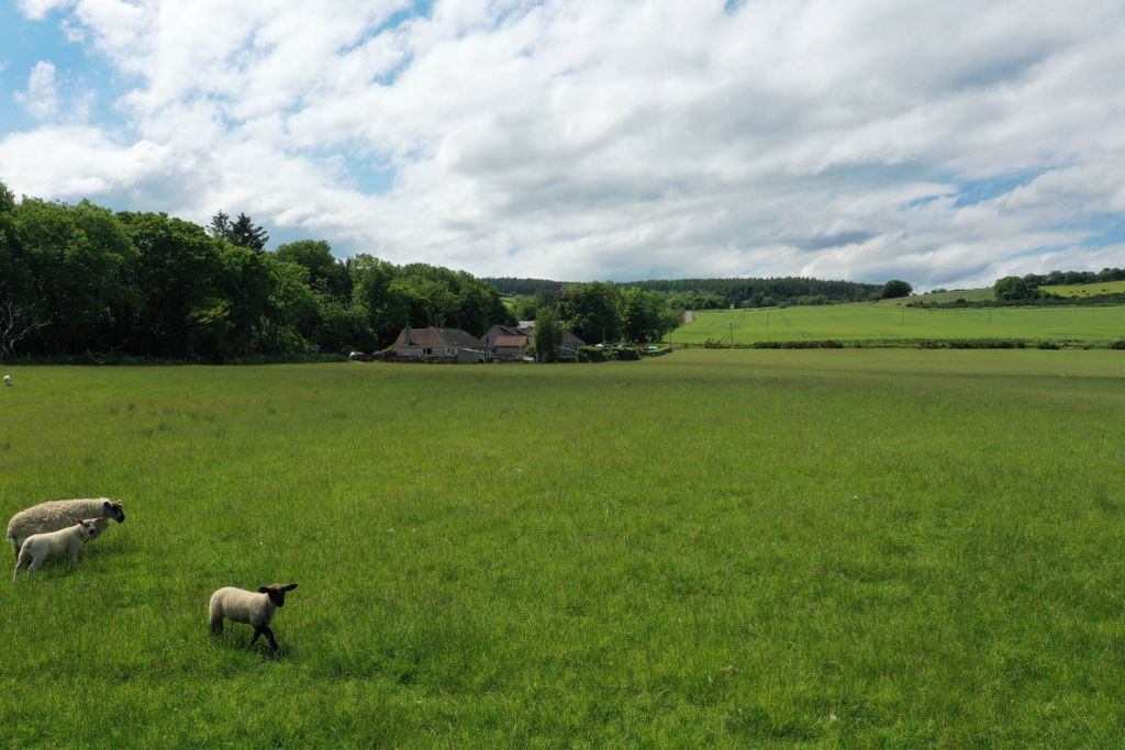 Additional image 3 of Land for saleBognie Place, Bognie, Huntly, Aberdeenshire AB54