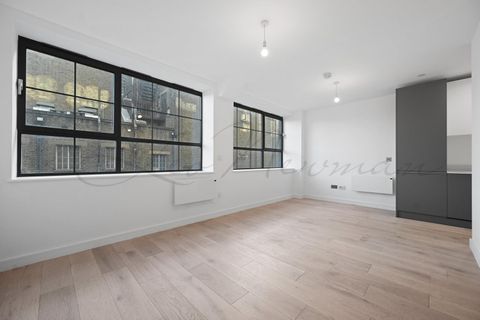 Caroline Street, Limehouse, London E1, Studio to rent