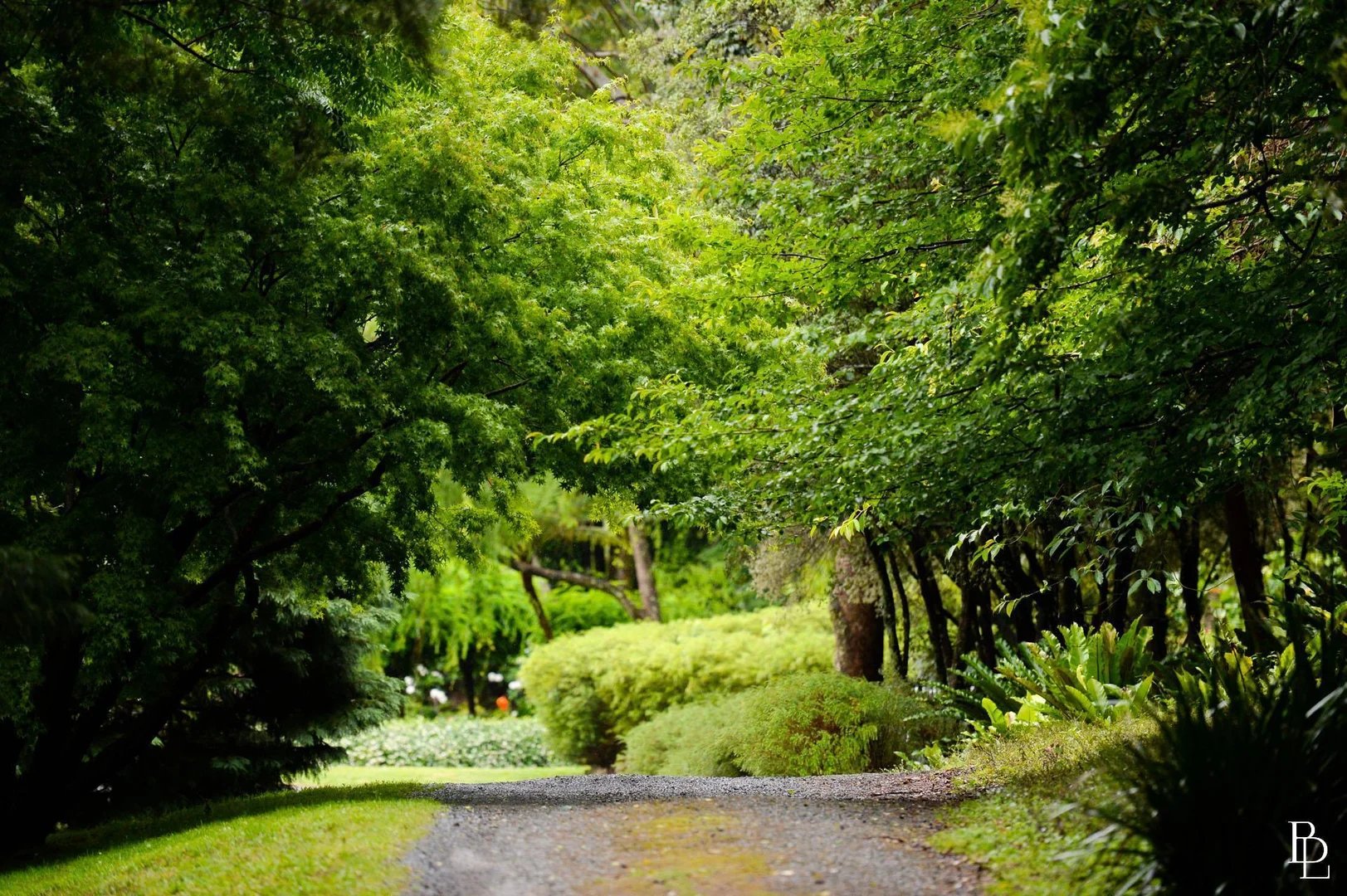 Additional image 3 of 291A Mount Hay Road, Broughton Vale NSW 2535