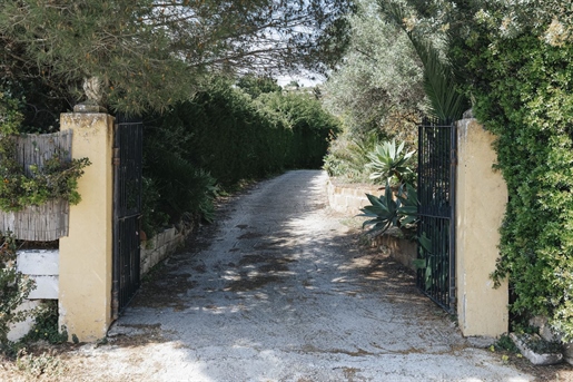 Estepona (Málaga)