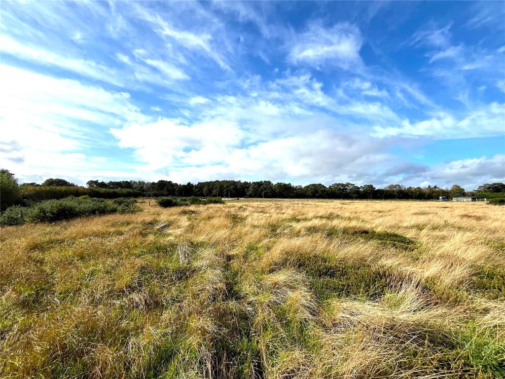 Additional image 3 of Land for saleFoxbury Road, St. Leonards, Ringwood, Dorset BH24