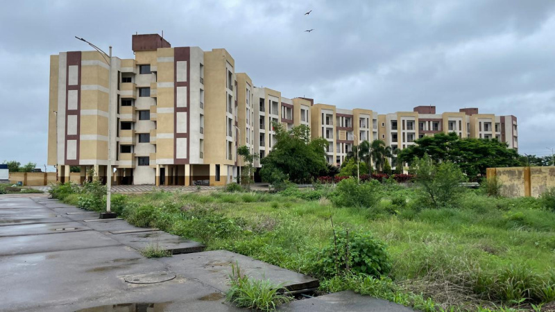 Amleshwar, Raipur