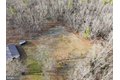 Additional image 63 of 6311 Pine St, Mays Landing, NJ, 08330