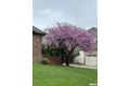 Additional image 66 of 5903 W Ivybridge Pl, Peoria, IL, 61615