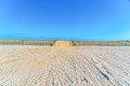 Additional image 39 of 7701 Atlantic Ave Apt 21, Margate, NJ, 08402