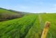 Additional image 2 of Trewidland, Cornwall PL14
